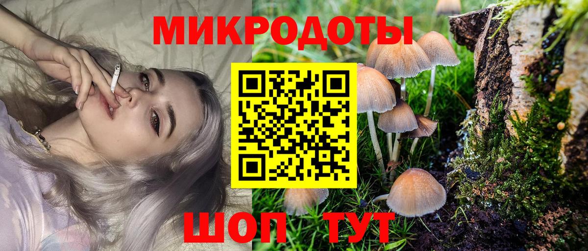 Обь  Псилоцибиновые грибы мицелий  Галлюциногенные грибы GOLDEN TEACHER  Вход с VPN 