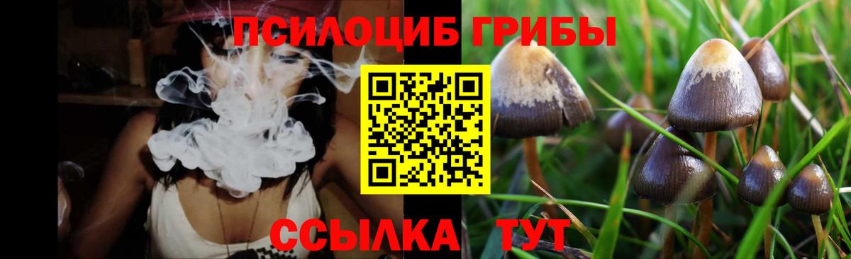 Галлюциногенные грибы Psilocybine cubensis Обь