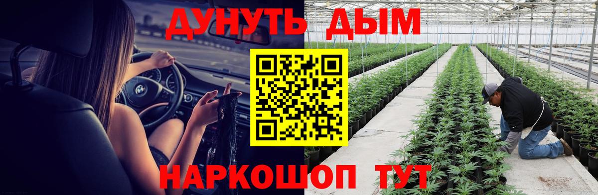 Канабис SATIVA & INDICA  Вход с VPN  Обь  Каннабис гибрид  Конопля SATIVA & INDICA 